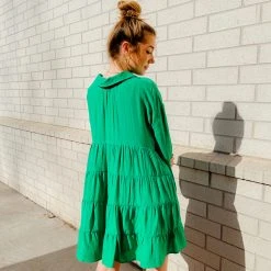 Entro Ellis Button Down Dress Dresses