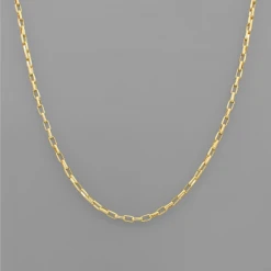 Golden Stella Small Paperclip Chain Necklace