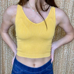 NikiBiki Vintage Wash V Neck Crop Top