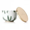 Curio Frasier Fir Universal Tin Candle Lifestyle