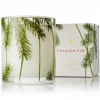 Curio Frasier Fir Pine Needle Candle Lifestyle