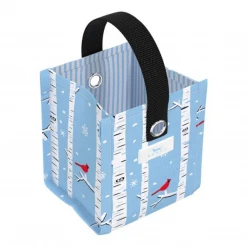 Scout Mini Package Gift Bag