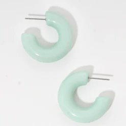 Trendy Wholesale Jewelry Small Acrylic Earrings