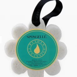 Lifestyle Spongellé Wildflower Sponge