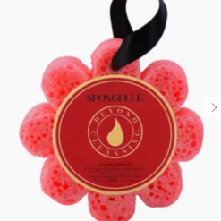 Lifestyle Spongellé Wildflower Sponge